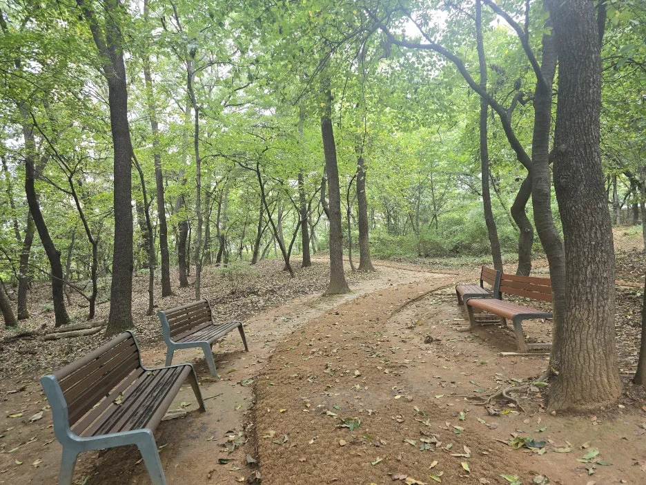 20251004_103426.jpg?type=w1