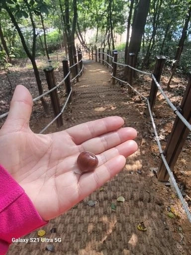 KakaoTalk_20251005_183133776.jpg?type=w1