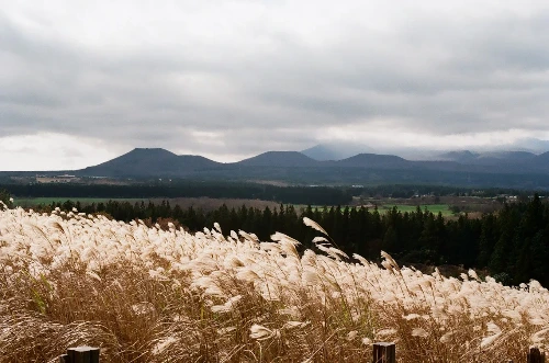 AG0ilSxTwG2Bhkvz_kHmD3mpN-9rCBM4z5FAXKrrhA2j8qkrEGsIJfuSBsa4tGabM5OMCGX7C2eONxOHViaIsf7KlwMjrPTihs0rhMM9SNDPA3l60iHKfo2gSZqic4bC3jl7-Il20Vtdlg=s1360-w1360-h1020-rw