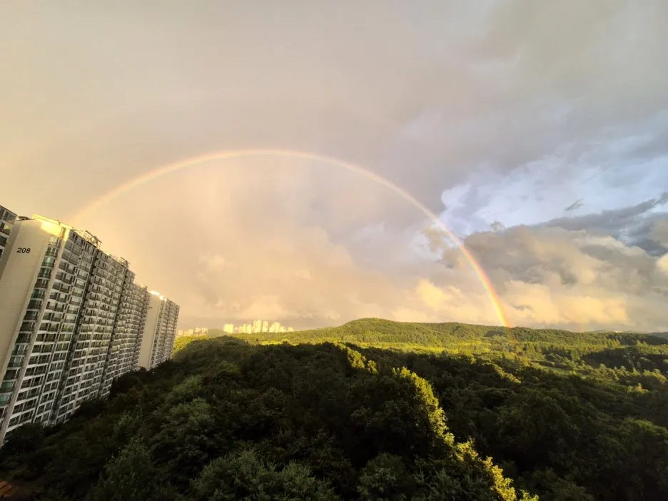 s2Mkf77fl2rff8i0ie.jpg?type=w1