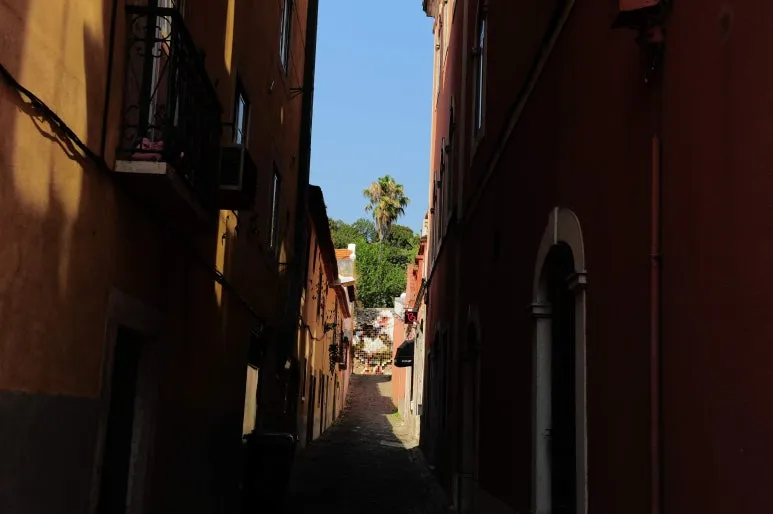 DSC_6074.jpg?type=w773