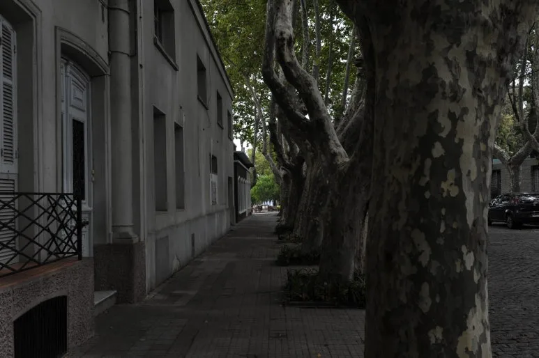 DSC_0140.JPG?type=w773