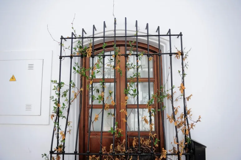 DSC_5324.jpg?type=w773