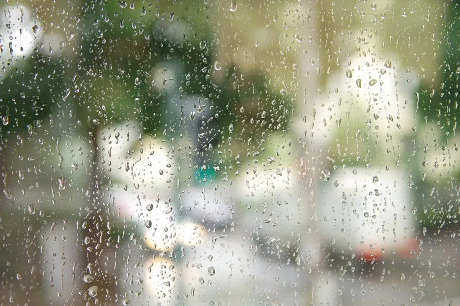 DSC_2577.JPG?type=w1