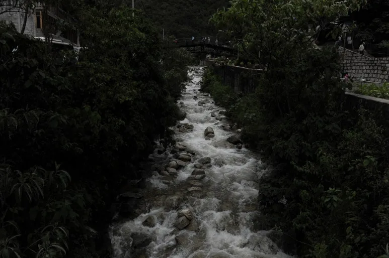 DSC_9416.JPG?type=w773