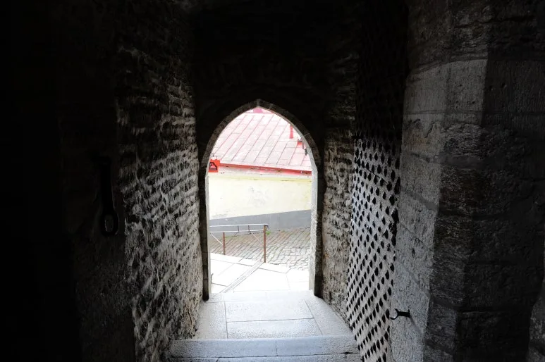 DSC_3349.JPG?type=w773