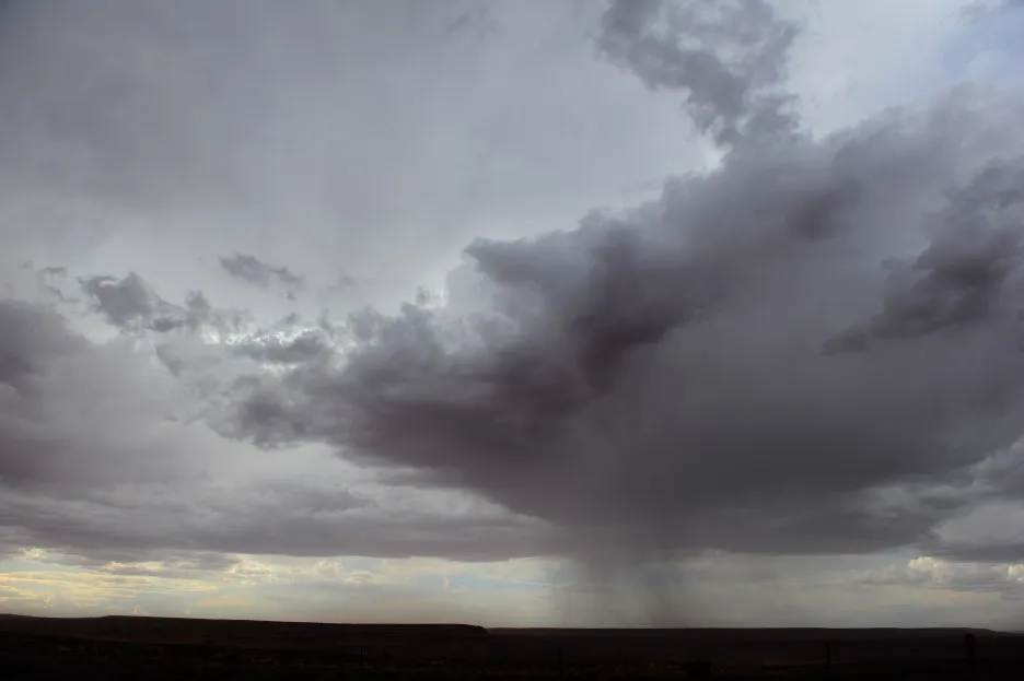 DSC_1529.JPG?type=w1