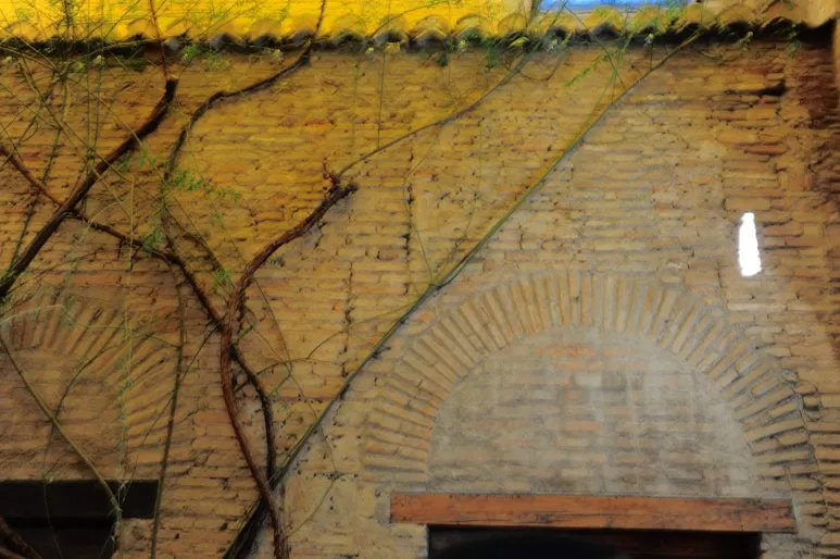 DSC_5202.jpg?type=w773