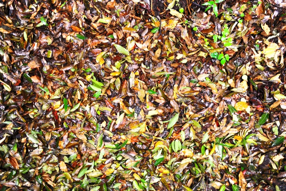 DSC_0568.JPG?type=w1