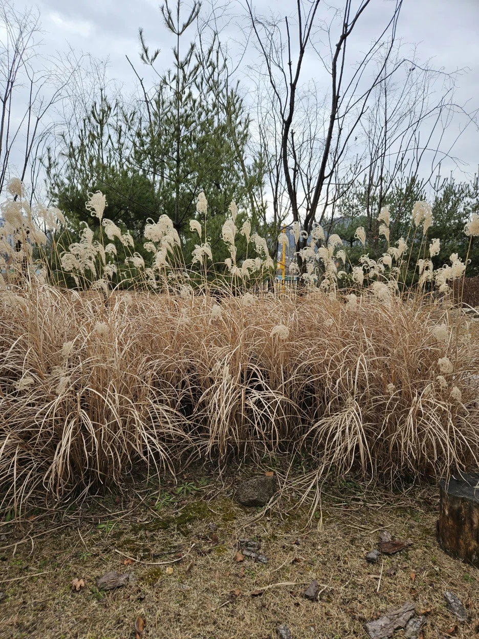 KakaoTalk_20260109_154830143_03.jpg?type=w1