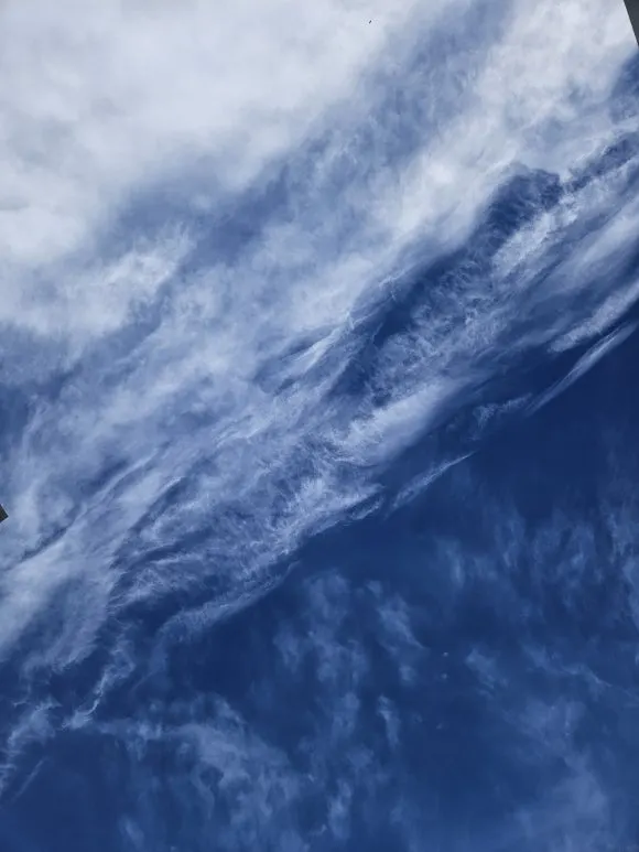 KakaoTalk_20251021_085102369_01.jpg?type=w580