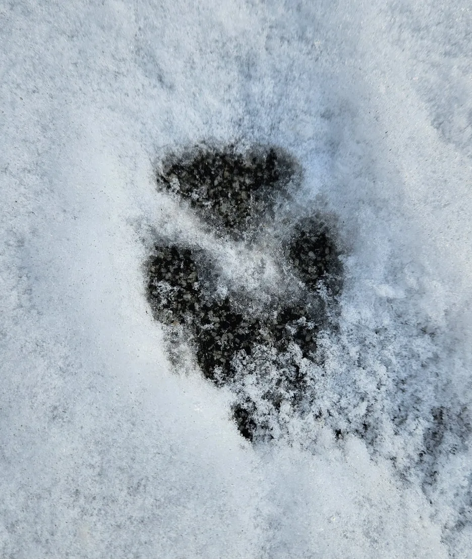 KakaoTalk_20260119_132530096.jpg?type=w1