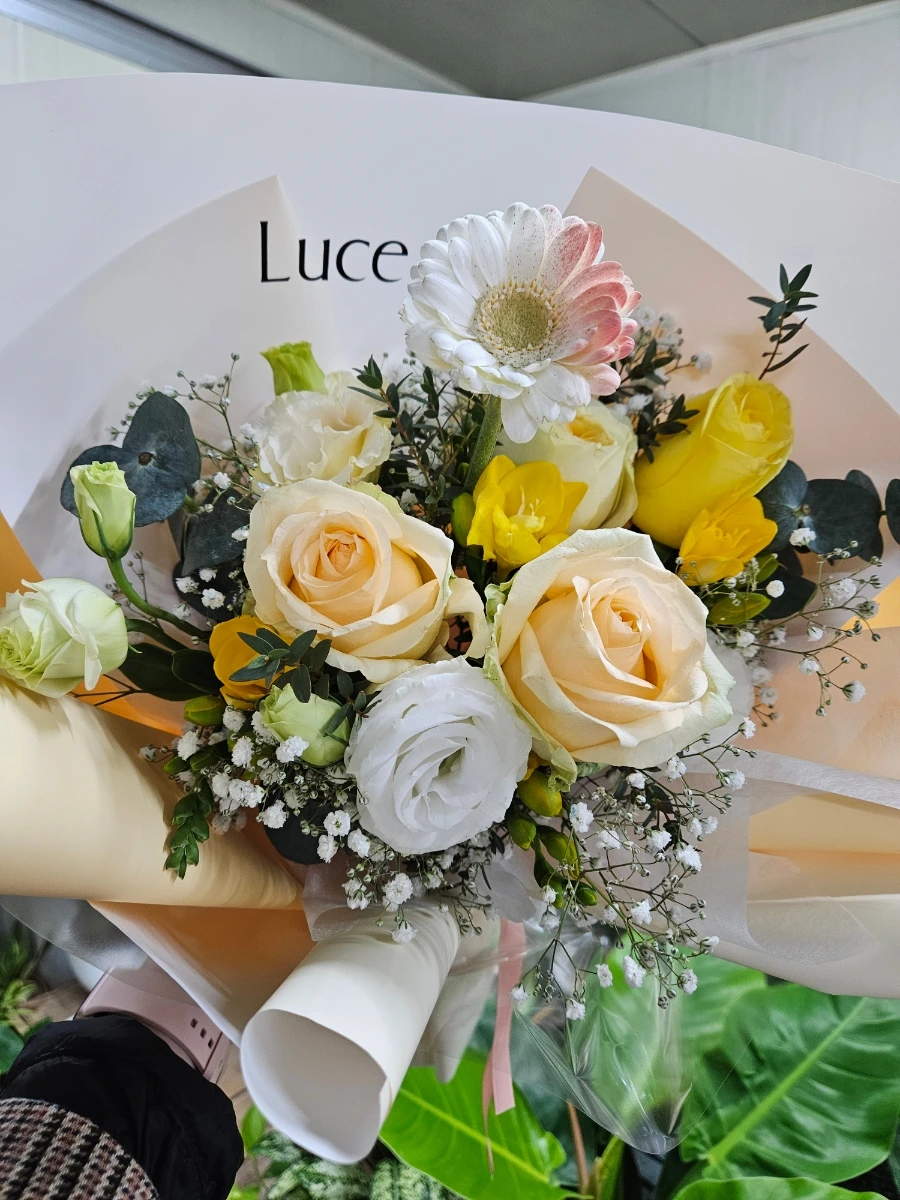 900%EF%BC%BF20260107%EF%BC%BF091639.jpg?type=w1