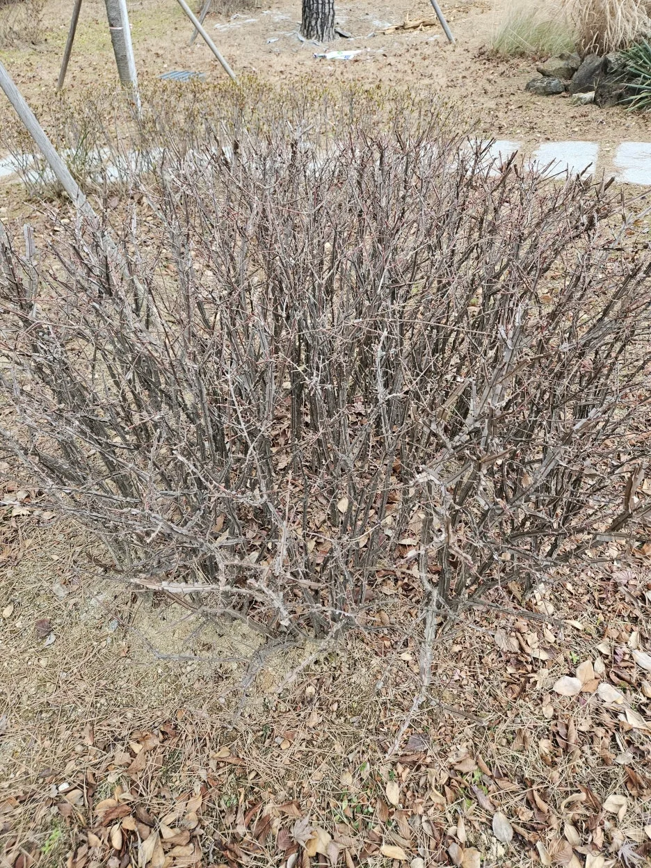 KakaoTalk_20260109_154830143.jpg?type=w1