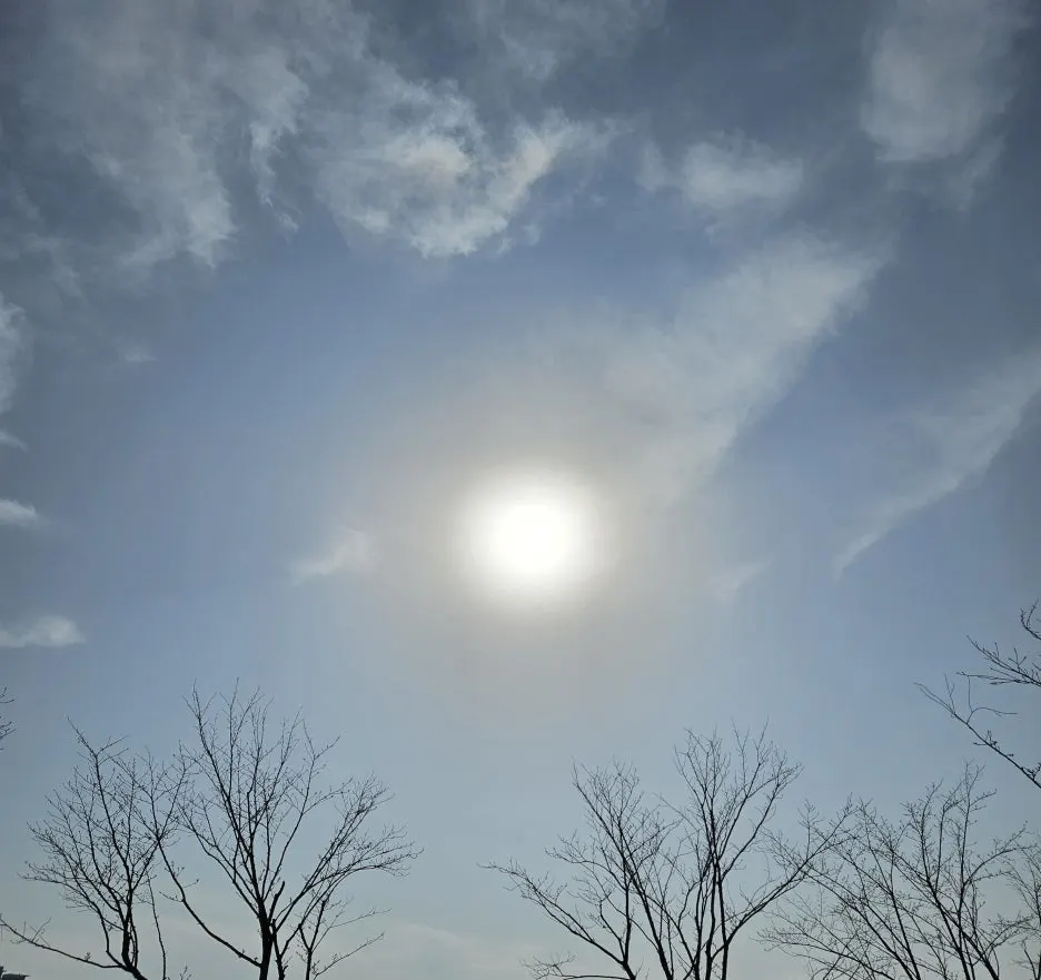 KakaoTalk_20260119_132530096_02.jpg?type=w1