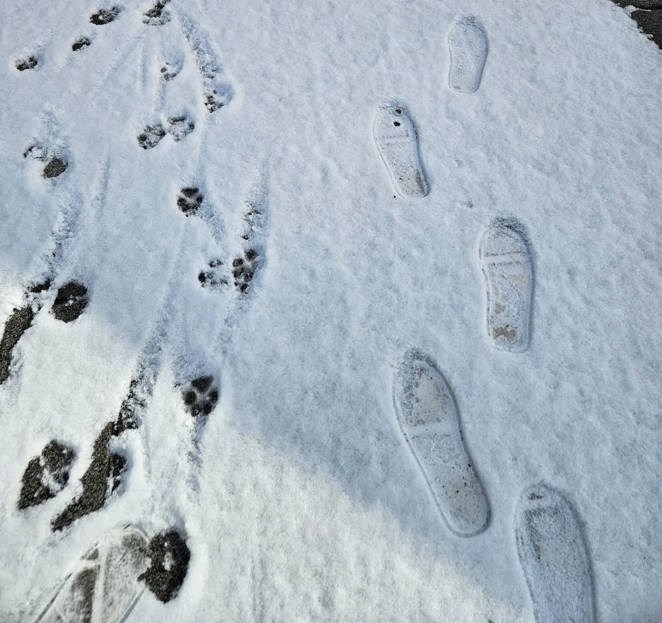 KakaoTalk_20260119_132530096_01.jpg?type=w1