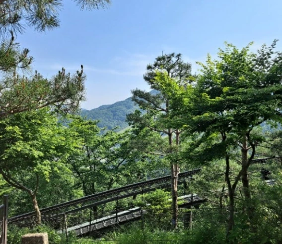 2025-04-07 09;16;38.PNG