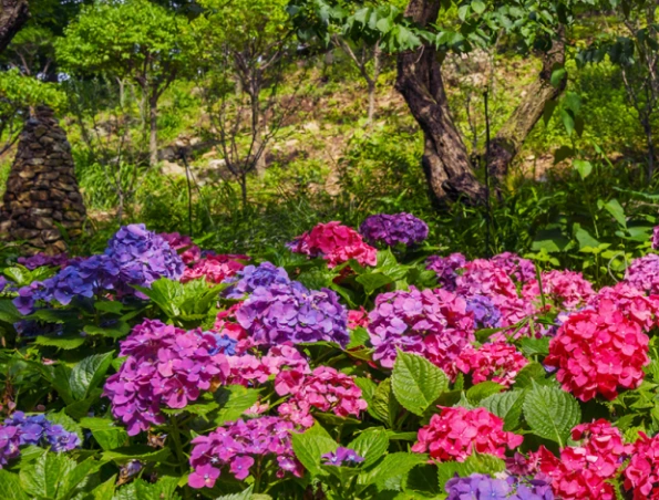 2025-04-07 09;18;25.PNG