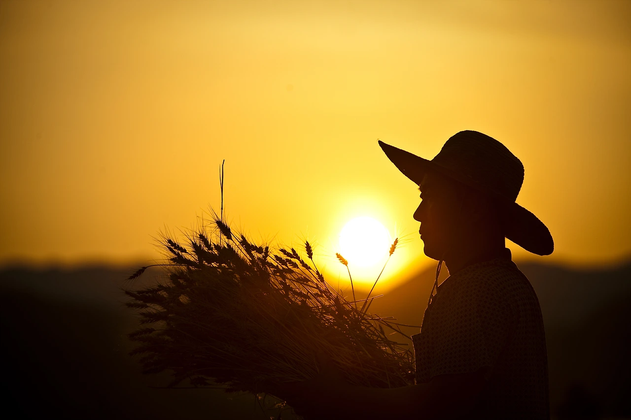 1704A2344FE912BA312906