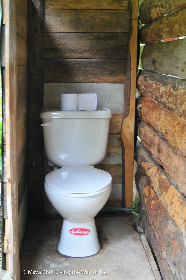 high vibe realm-8785.JPG