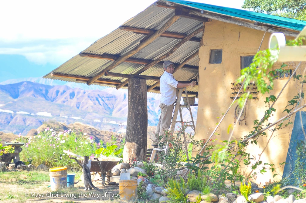 high vibe realm-8745.JPG