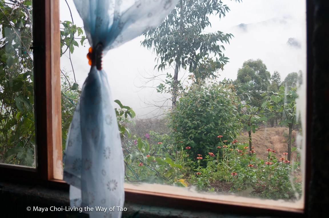 high vibe realm-8908.JPG