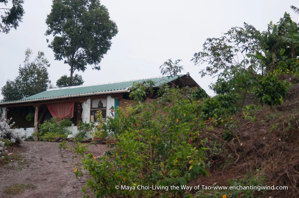 high vibe realm-9205.JPG