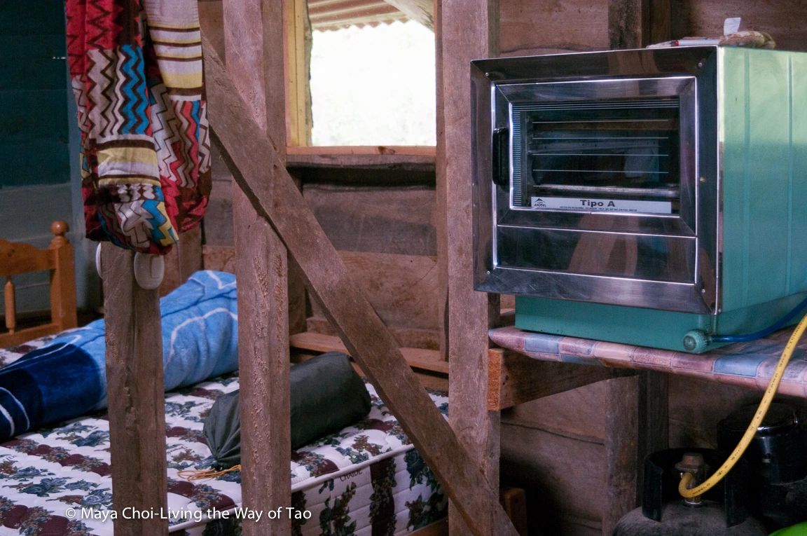 high vibe realm-8773.JPG