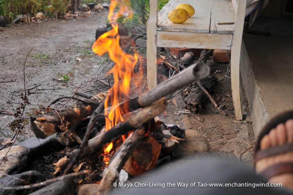 high vibe realm-9207.JPG