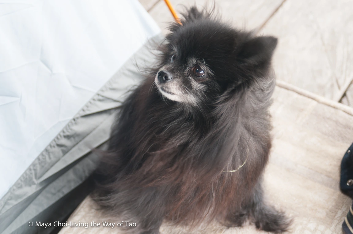 high vibe realm-8783.JPG