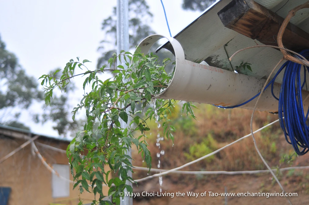 high vibe realm-9198.JPG