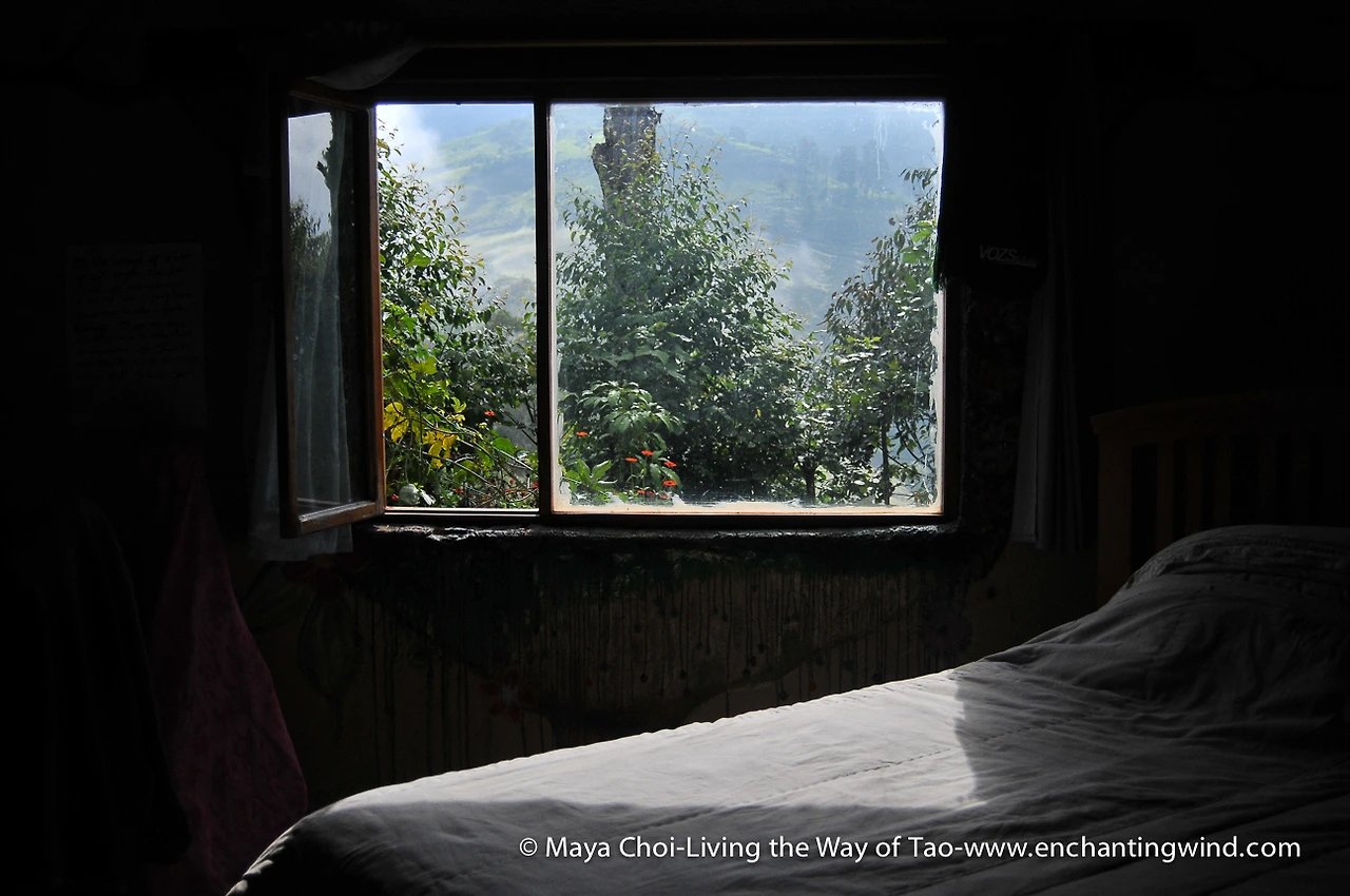 high vibe realm-9540.JPG