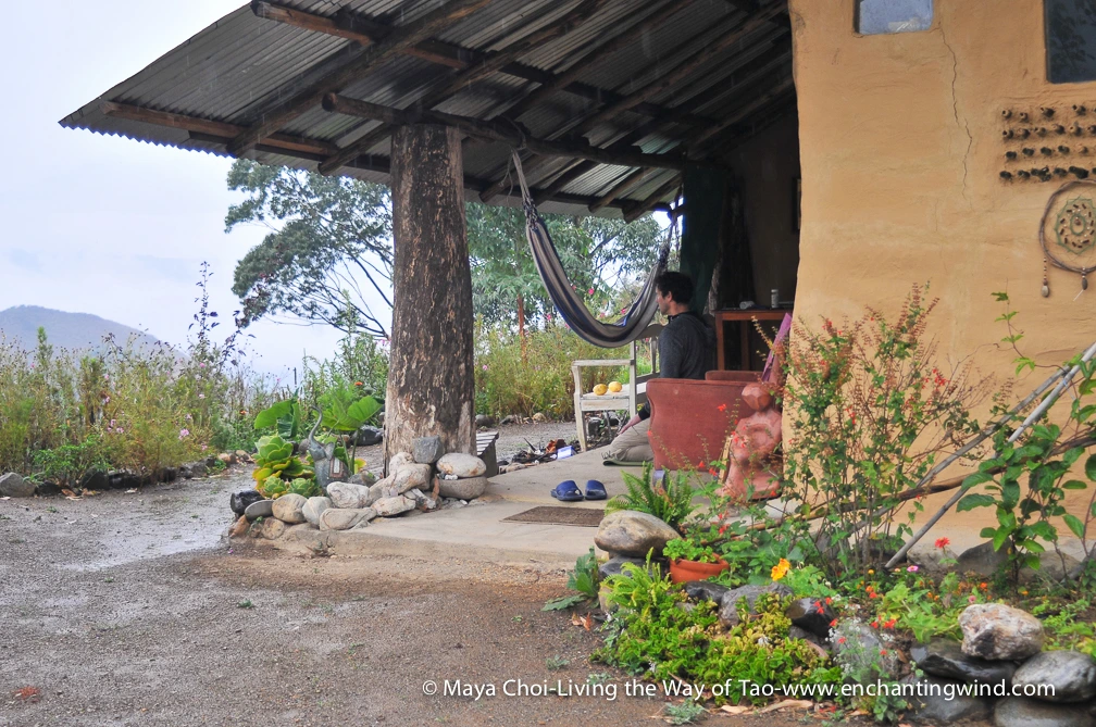 high vibe realm-9199.JPG