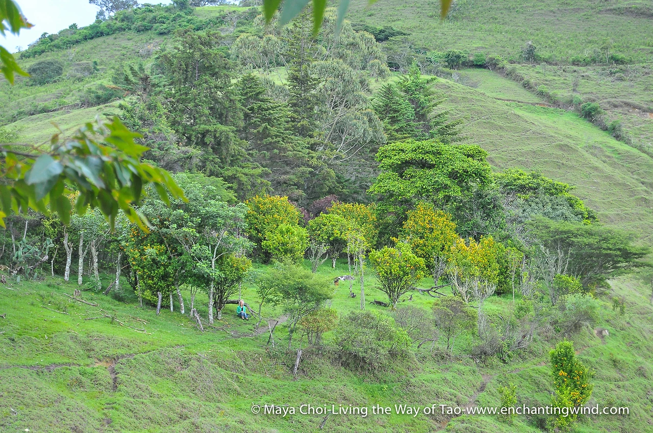 high vibe realm-9557.JPG