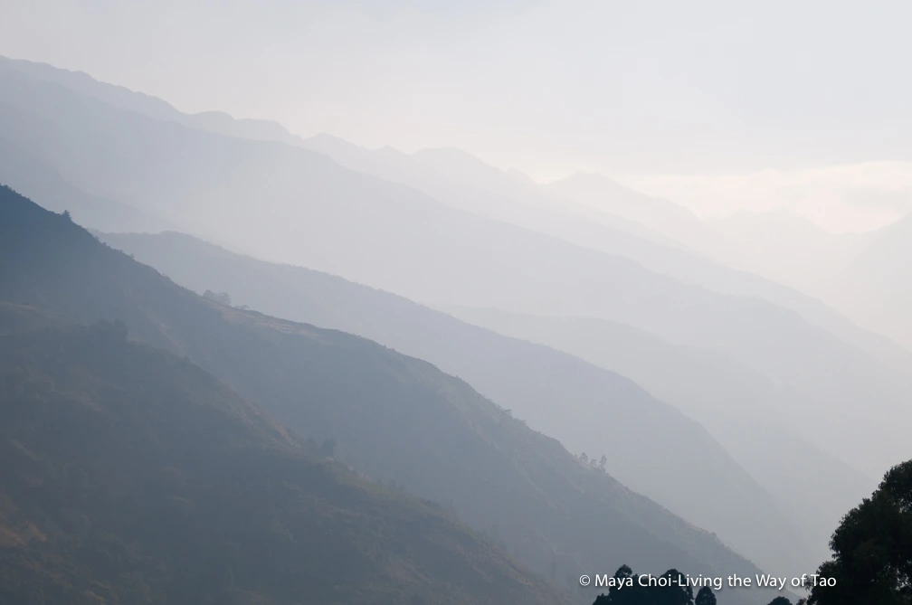 high vibe realm-8372.JPG