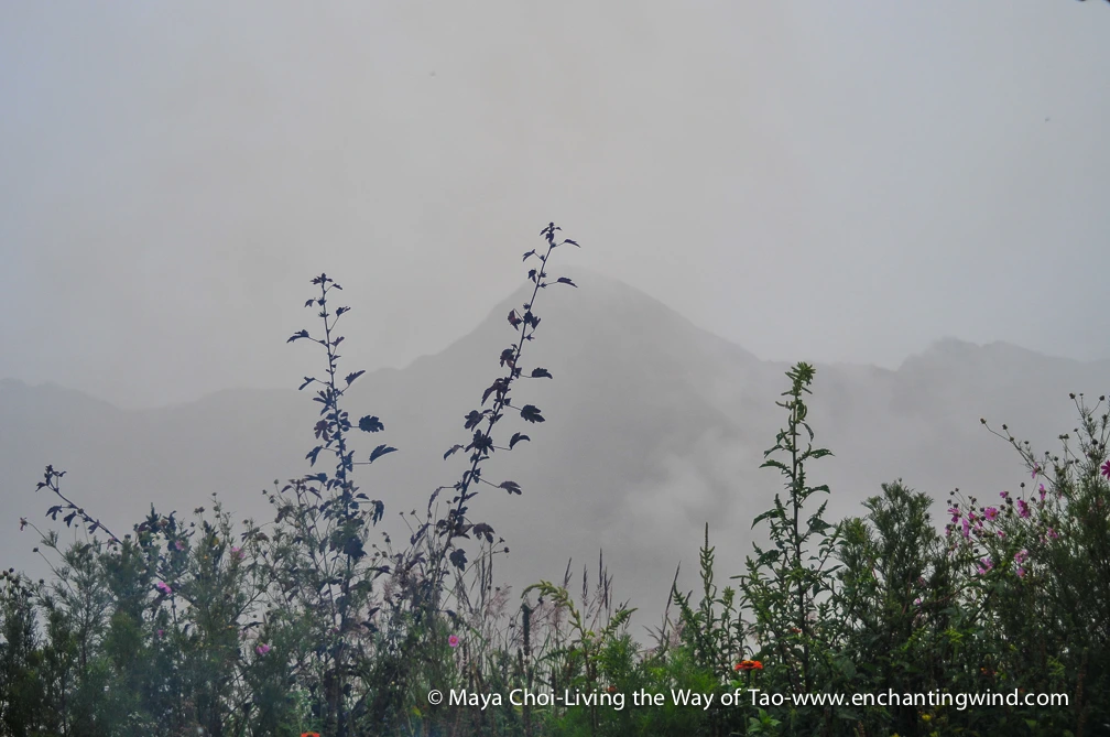 high vibe realm-9221.JPG