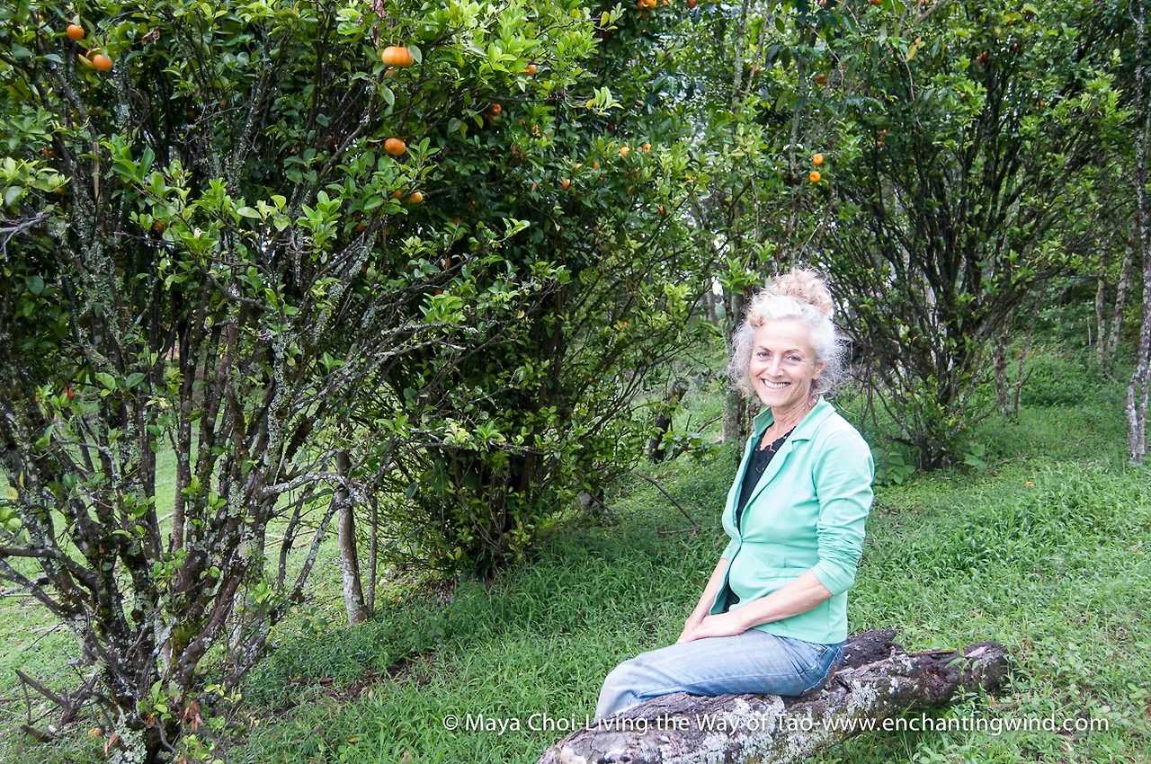 high vibe realm-9559.JPG