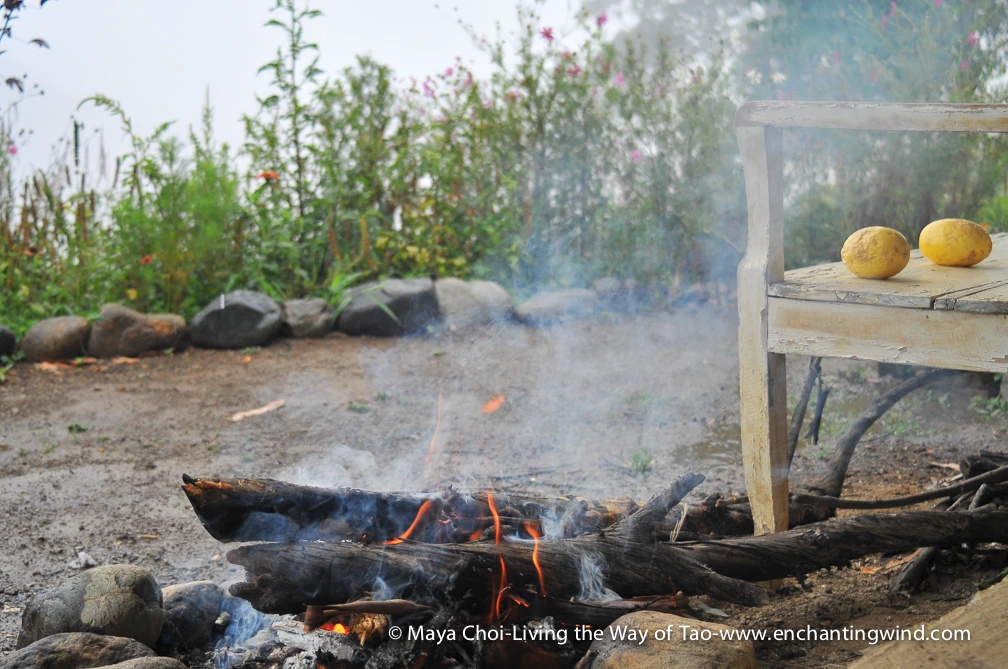 high vibe realm-9219.JPG