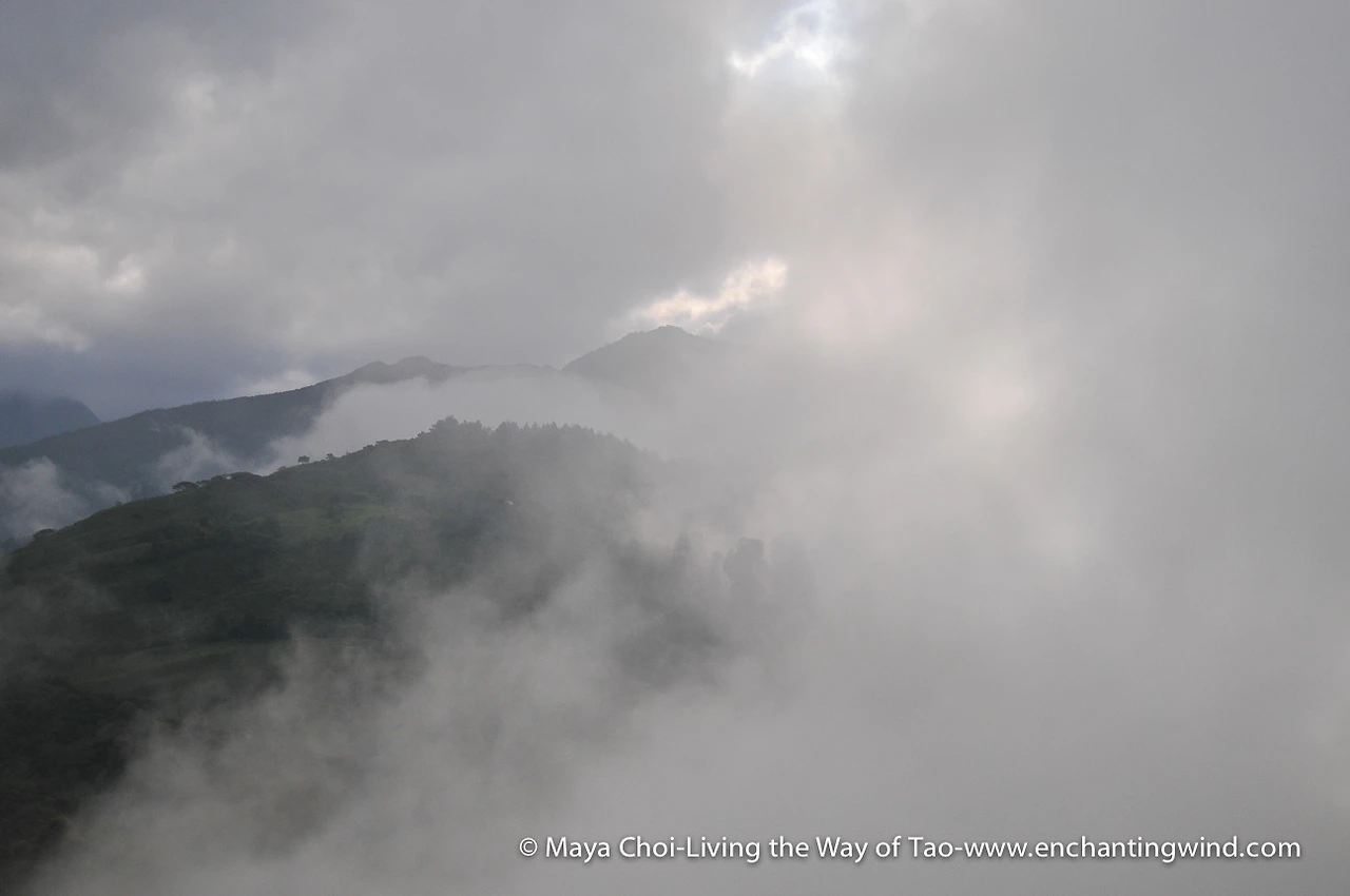 high vibe realm-9538.JPG