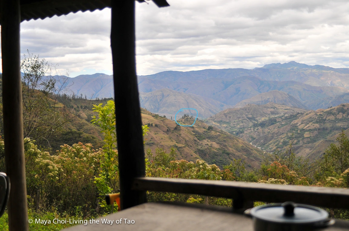 high vibe realm-8775.JPG