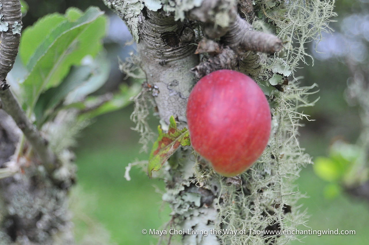 high vibe realm-9563.JPG