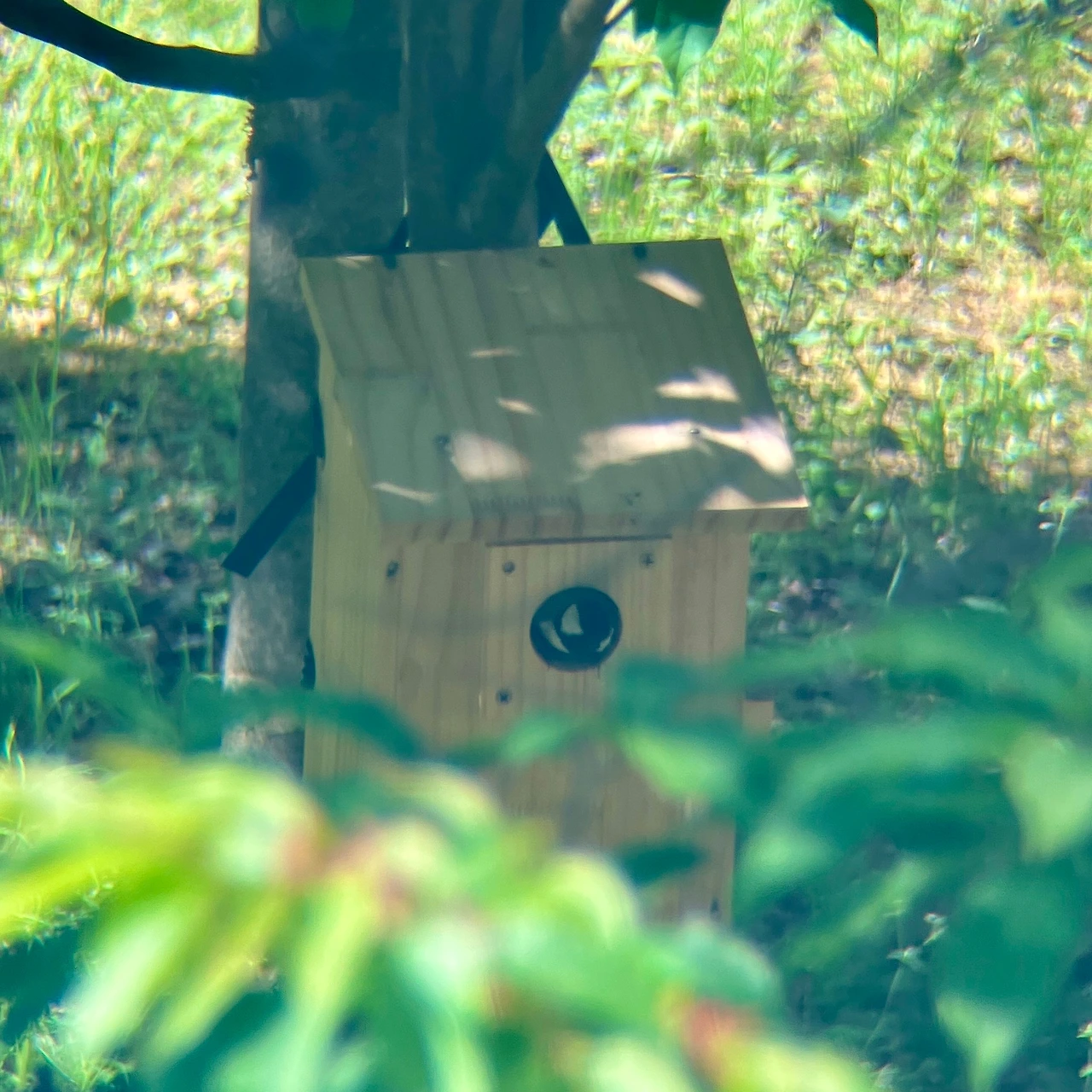 둥지 관찰기 3.JPG