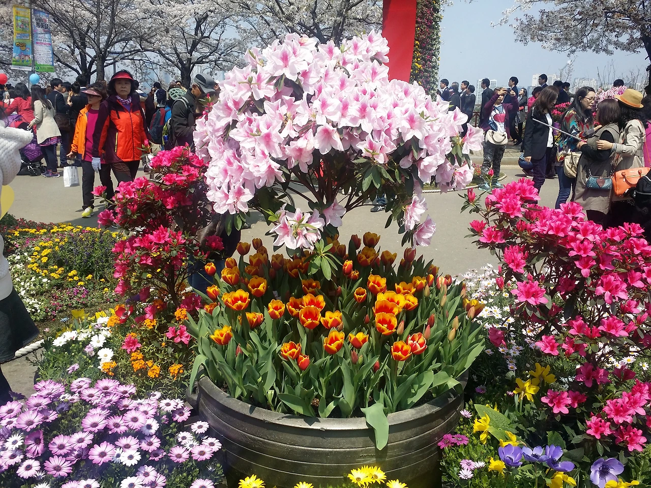 20150410_122947.jpg