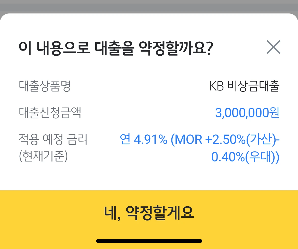 KB 비상금 대출.PNG