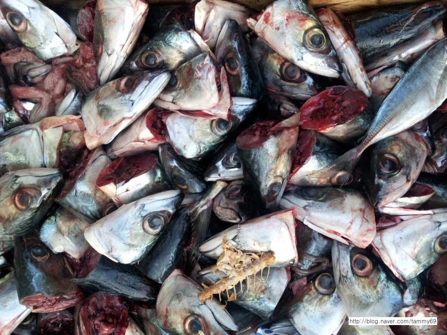 %EC%83%9D%EC%84%A0.jpg?type=w1