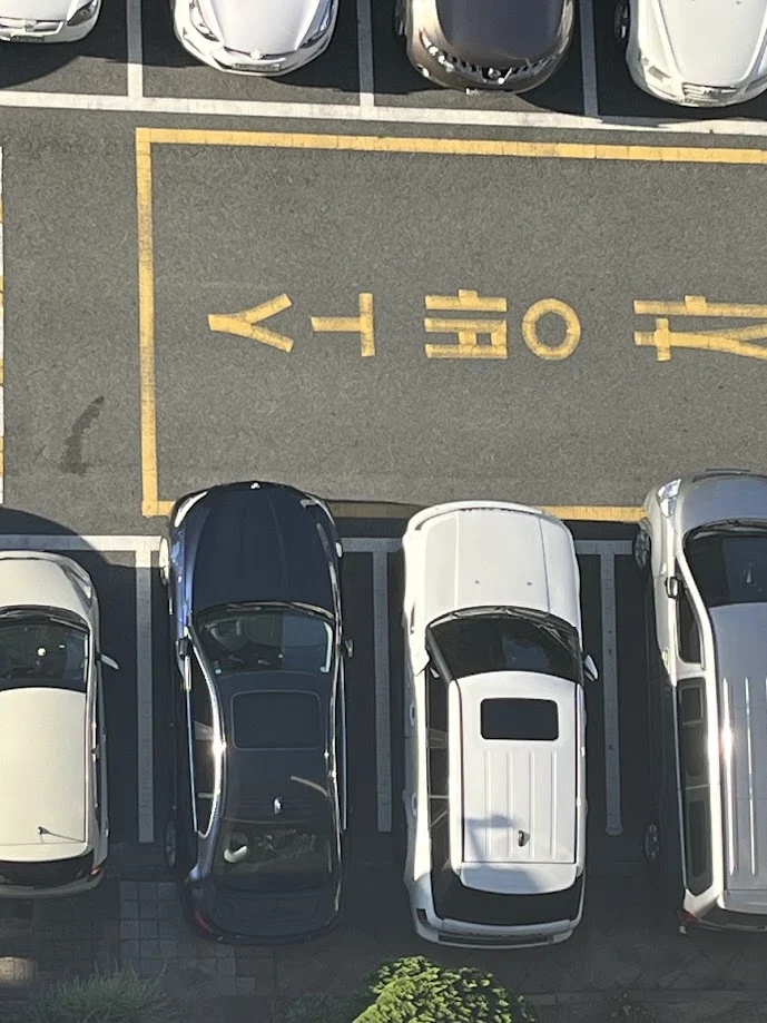 IMG_2965.jpg?type=w1