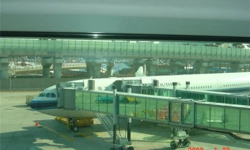 ?src=%22https%3A%2F%2Fblogthumb.pstatic.net%2Fdata29%2F2008%2F1%2F29%2F156%2Fdsc00003_tammy69.jpg%3Ftype%3Dw2%22&type=ff500_300