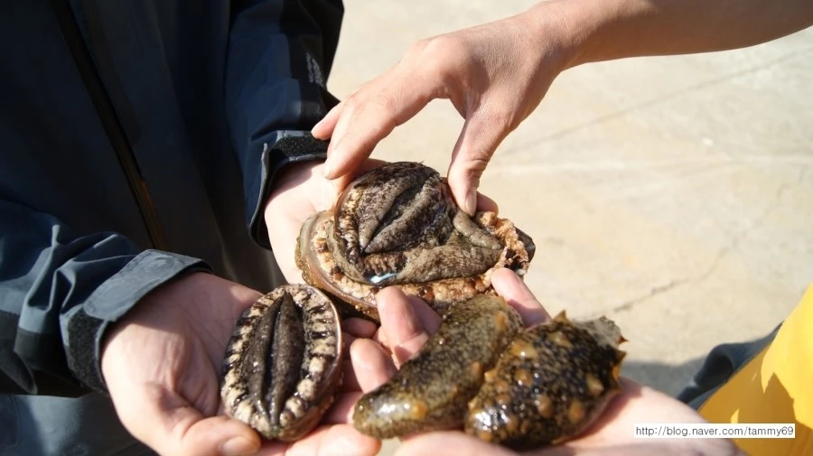 %EC%A0%84%EB%B3%B5%ED%95%B4%EC%82%BC.jpg?type=w1