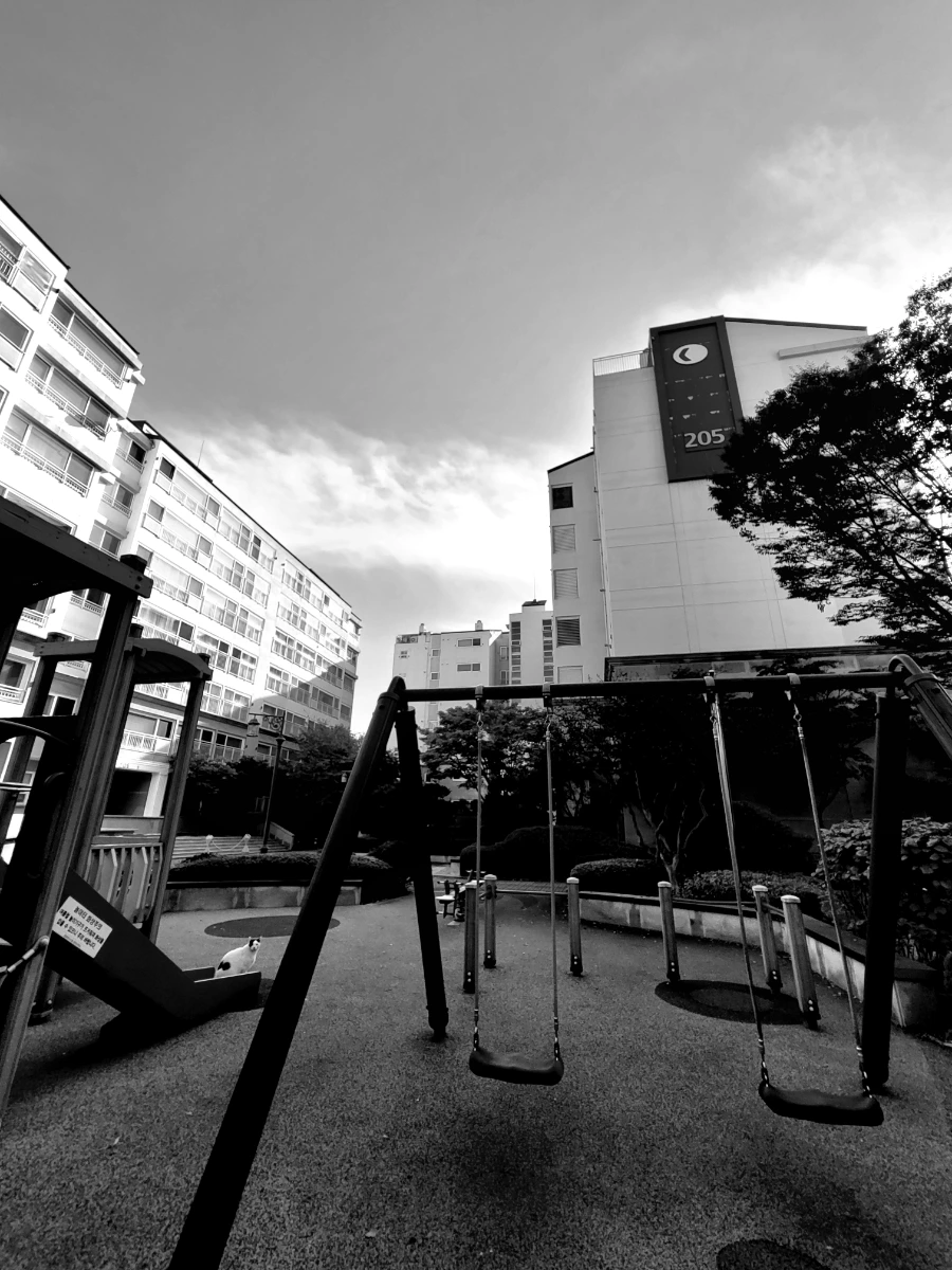 900%EF%BC%BF20251024%EF%BC%BF093621.jpg?type=w1