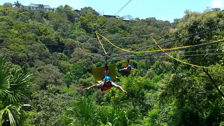 2018-05-08_12.22.36.png?type=w773